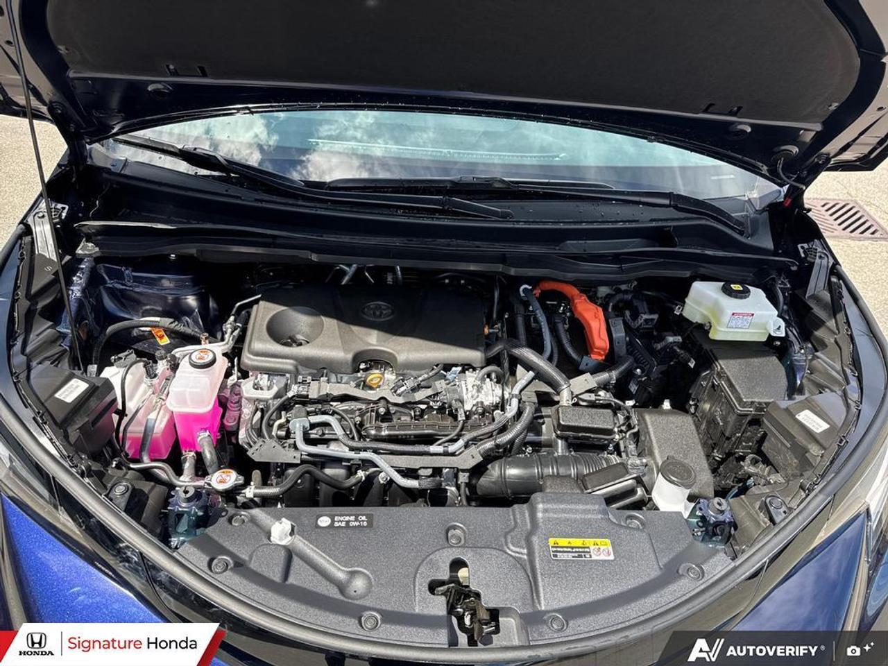 2026 Toyota Sienna LIMITED Photo