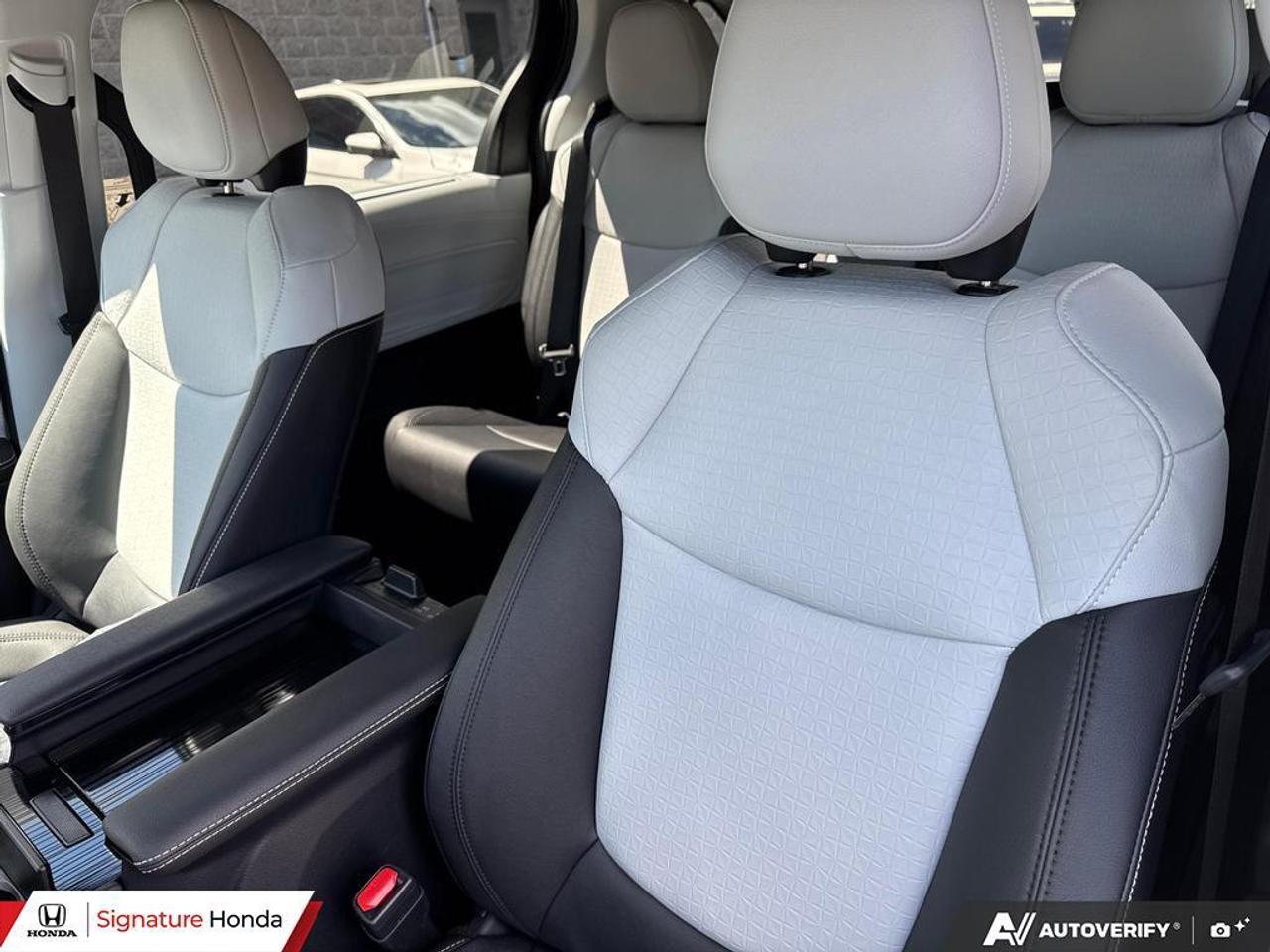 2026 Toyota Sienna LIMITED Photo