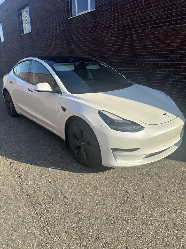 2021 Tesla Model 3 STANDARD RANGE PLUS Photo