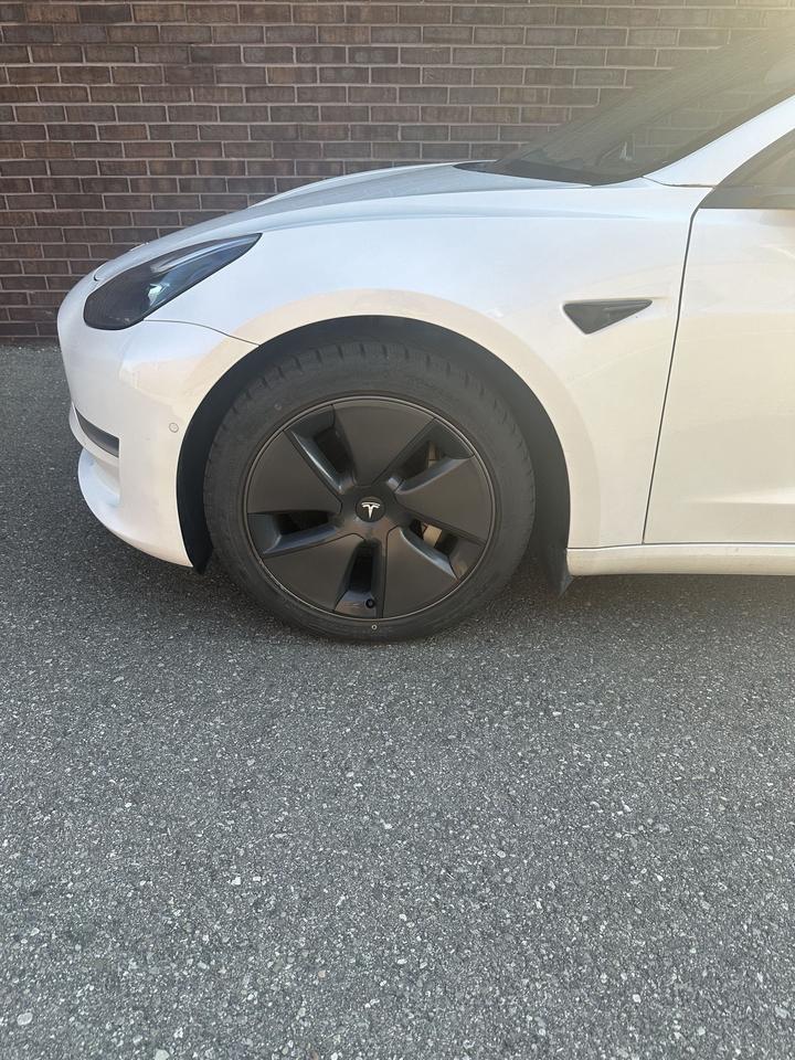 2021 Tesla Model 3 STANDARD RANGE PLUS Photo