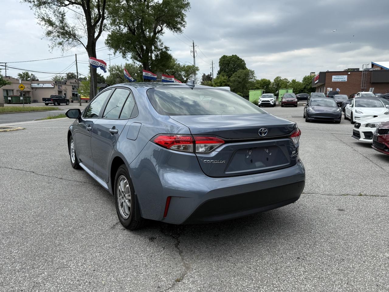 2024 Toyota Corolla No Accidents l Hybrid l LE l Toyota Warranty Photo