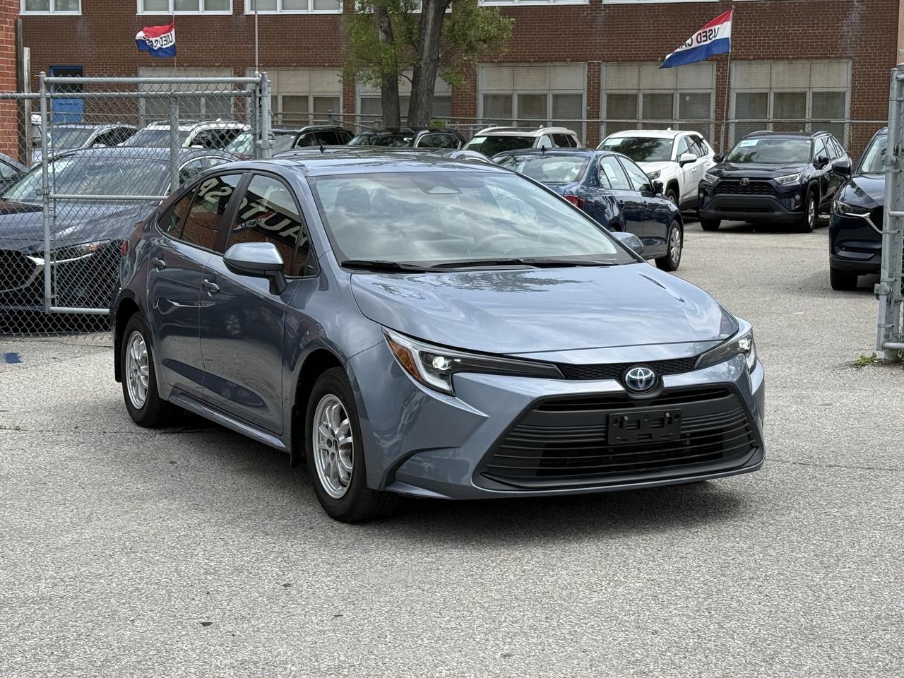 2024 Toyota Corolla No Accidents l Hybrid l LE l Toyota Warranty Photo