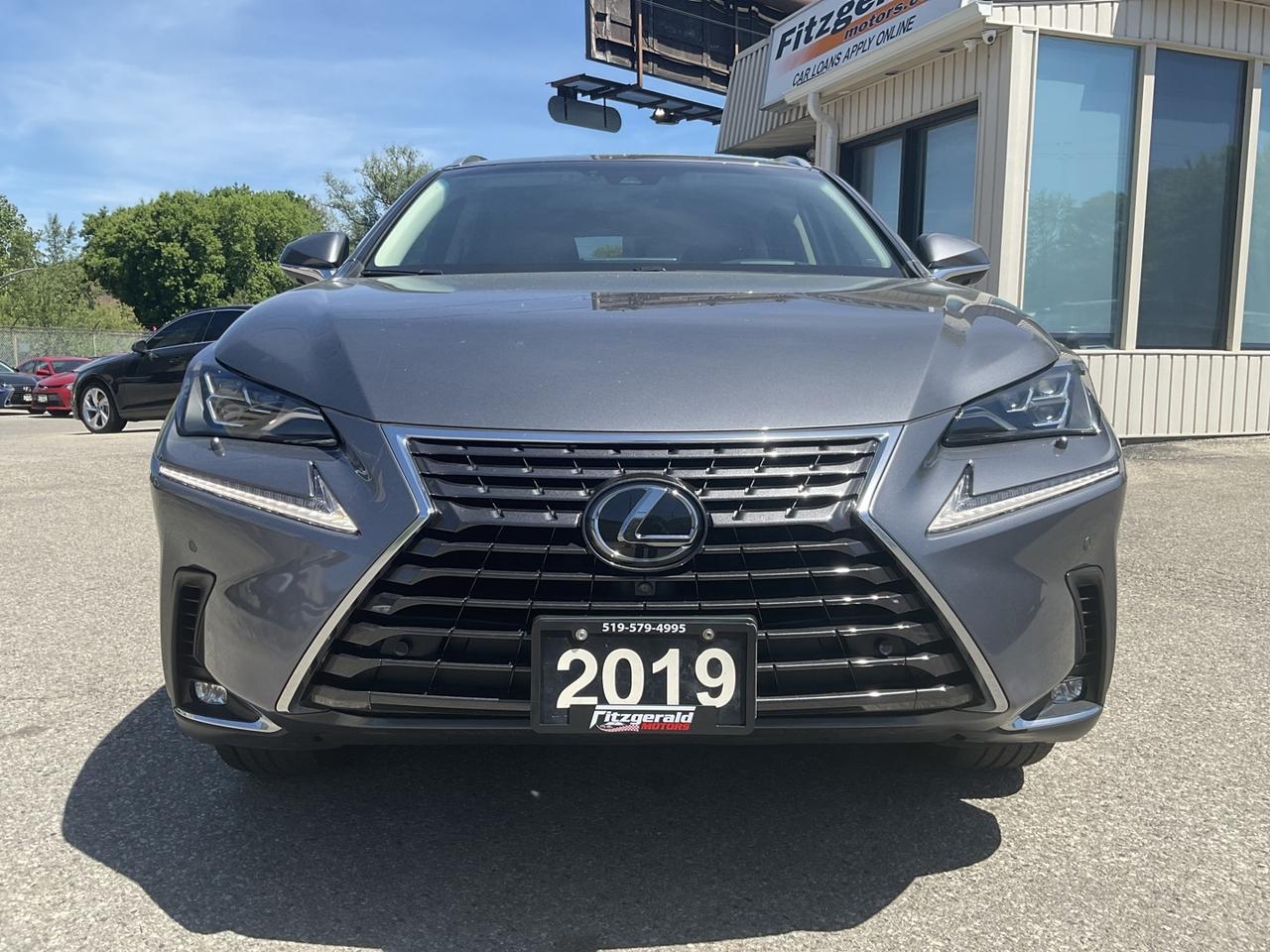 2019 Lexus NX 300 EXECUTIVE AWD - RED LTHR! NAV! 360 CAM! HUD! SUNRO Photo
