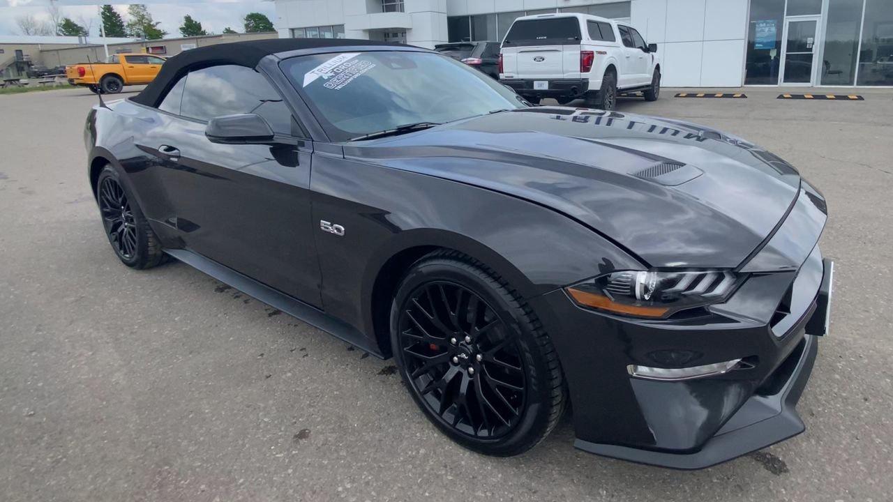 2022 Ford Mustang GT Premium Photo