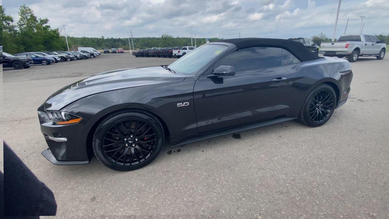 2022 Ford Mustang GT Premium Photo