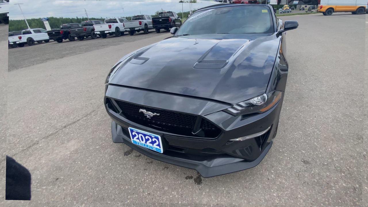 2022 Ford Mustang GT Premium Photo