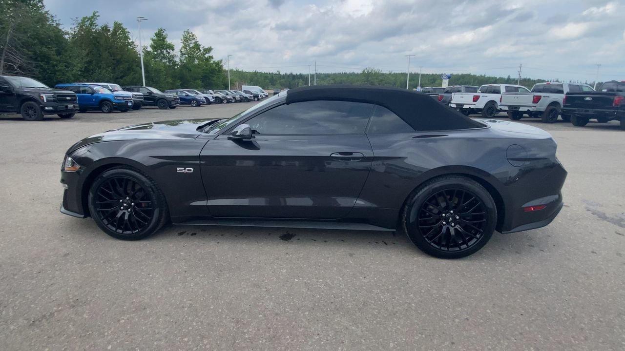 2022 Ford Mustang GT Premium Photo