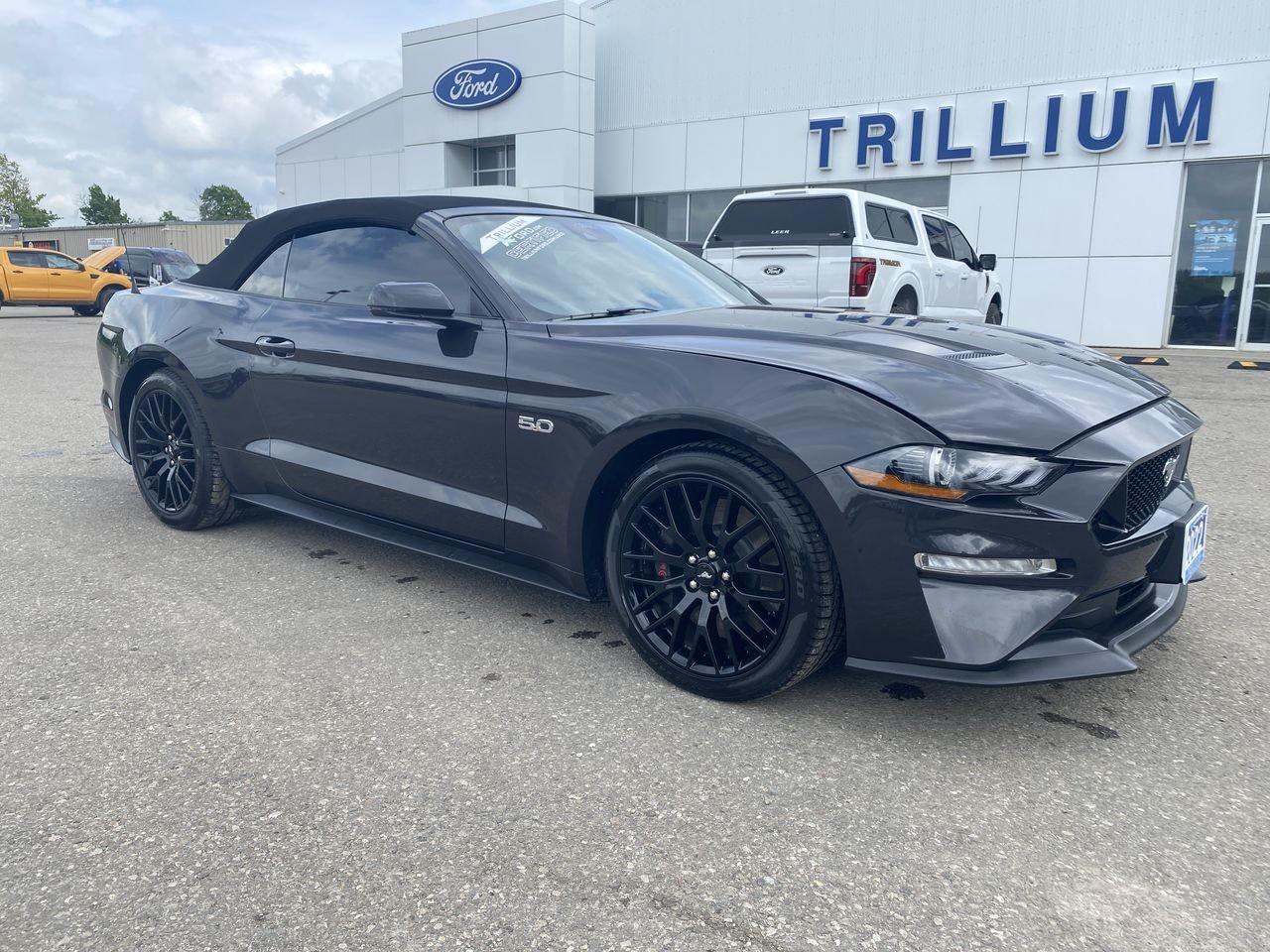 2022 Ford Mustang GT Premium Photo0