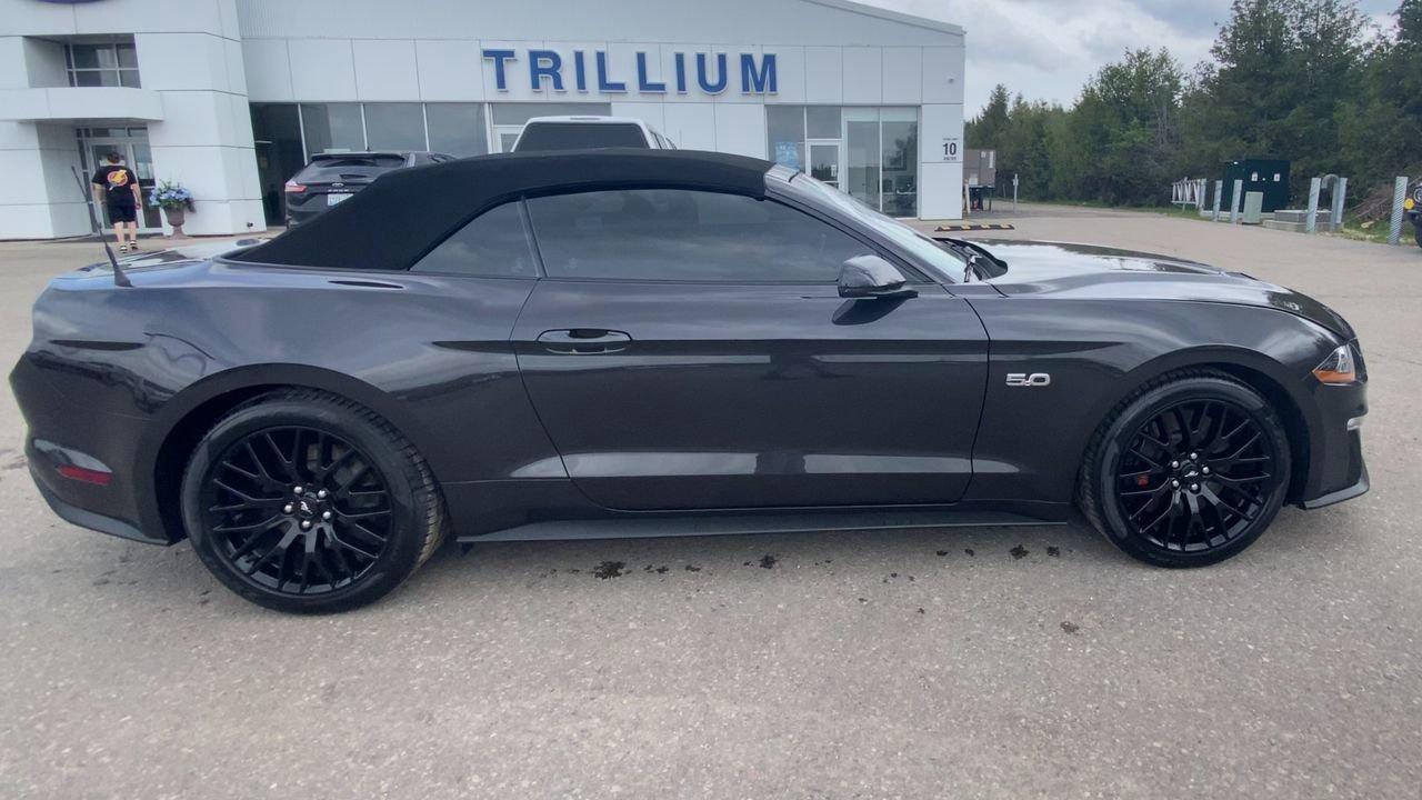 2022 Ford Mustang GT Premium Photo