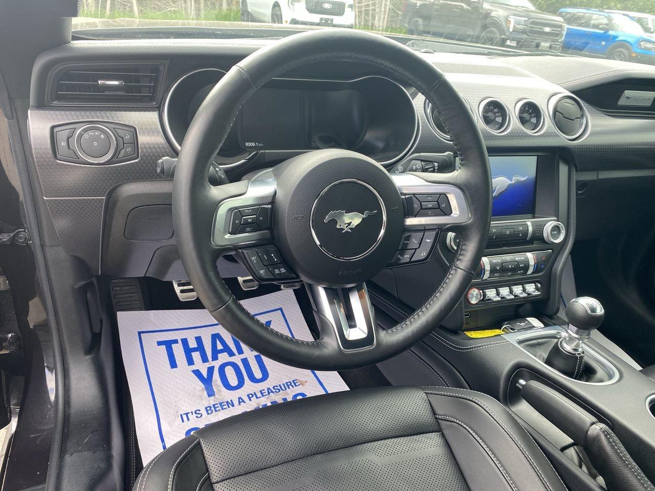 2022 Ford Mustang GT Premium Photo
