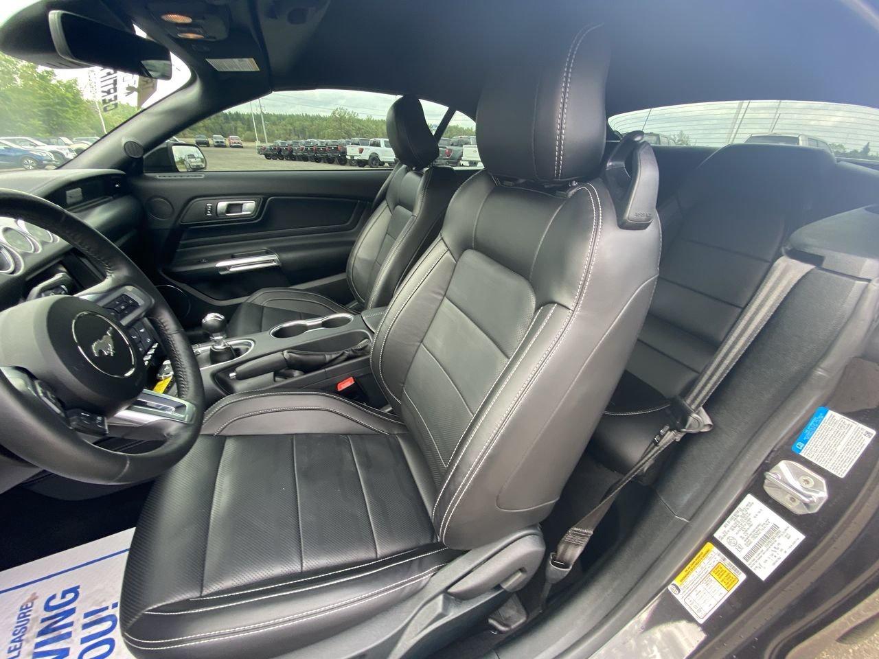 2022 Ford Mustang GT Premium Photo