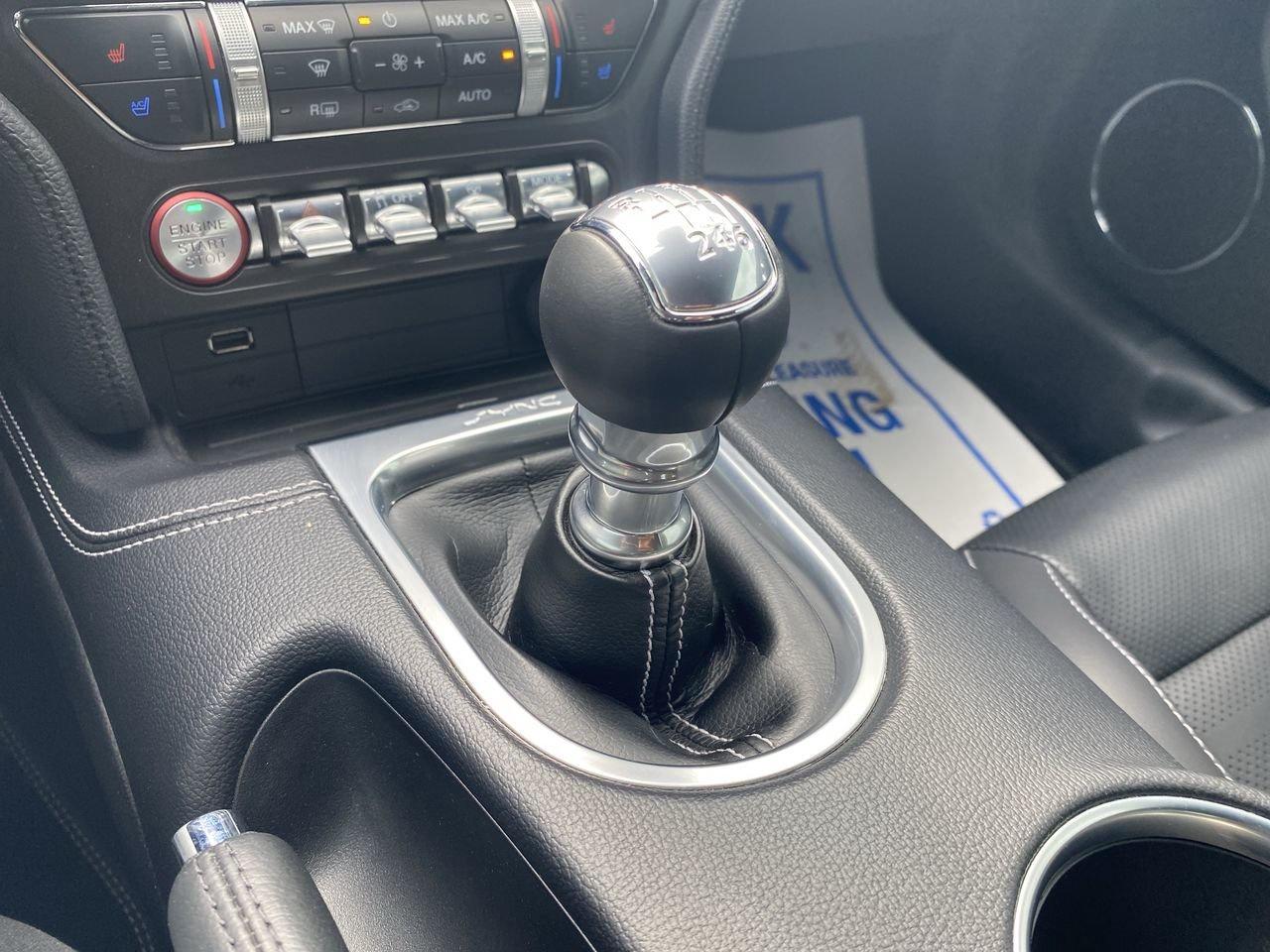 2022 Ford Mustang GT Premium Photo