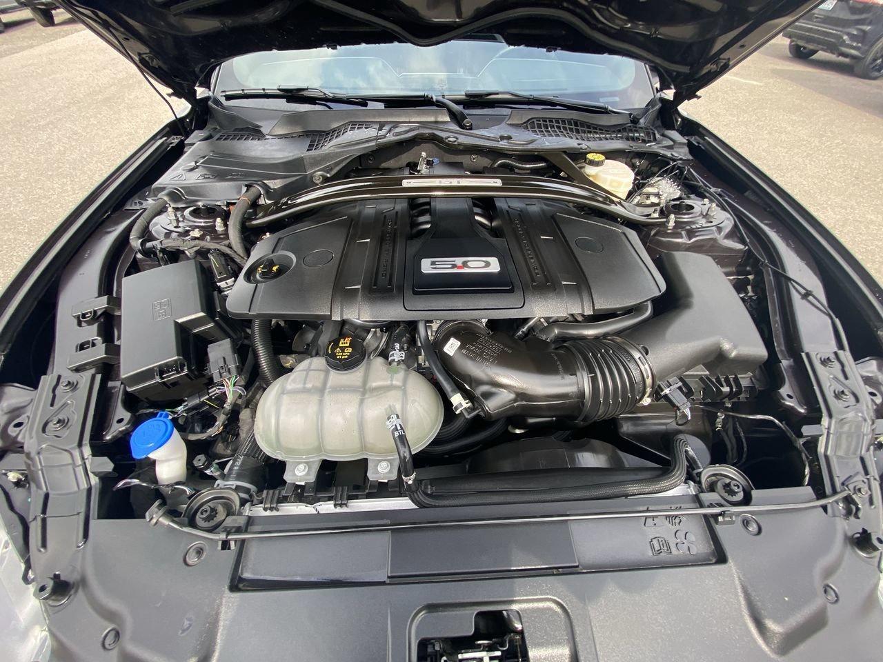 2022 Ford Mustang GT Premium Photo