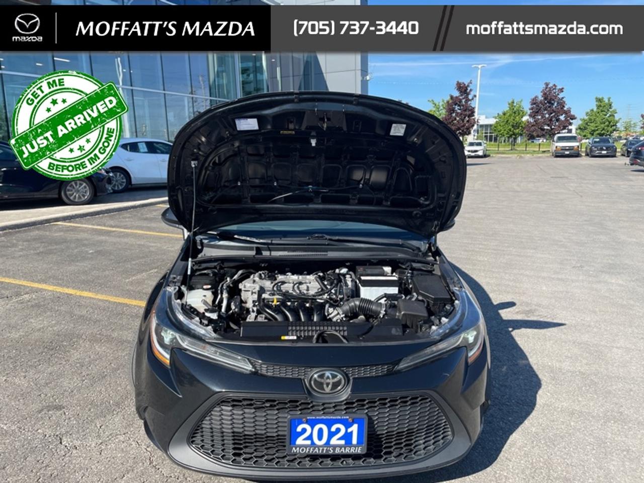 2021 Toyota Corolla LE CVT Photo