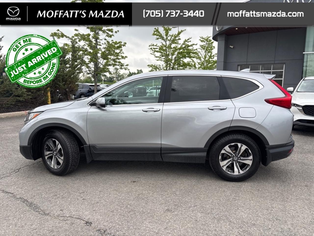 2019 Honda CR-V LX AWD Photo