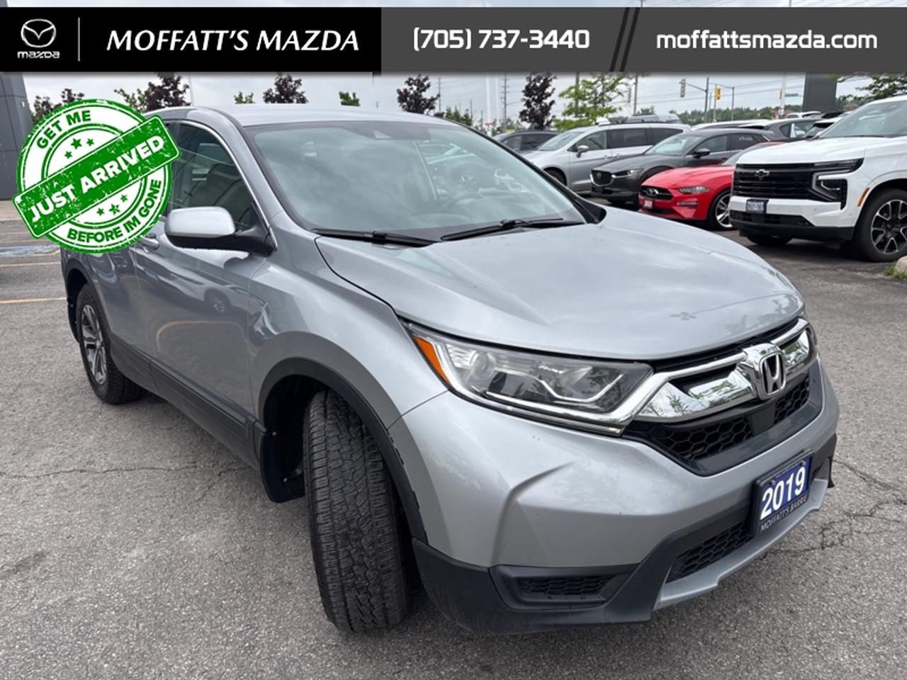 2019 Honda CR-V LX AWD Photo