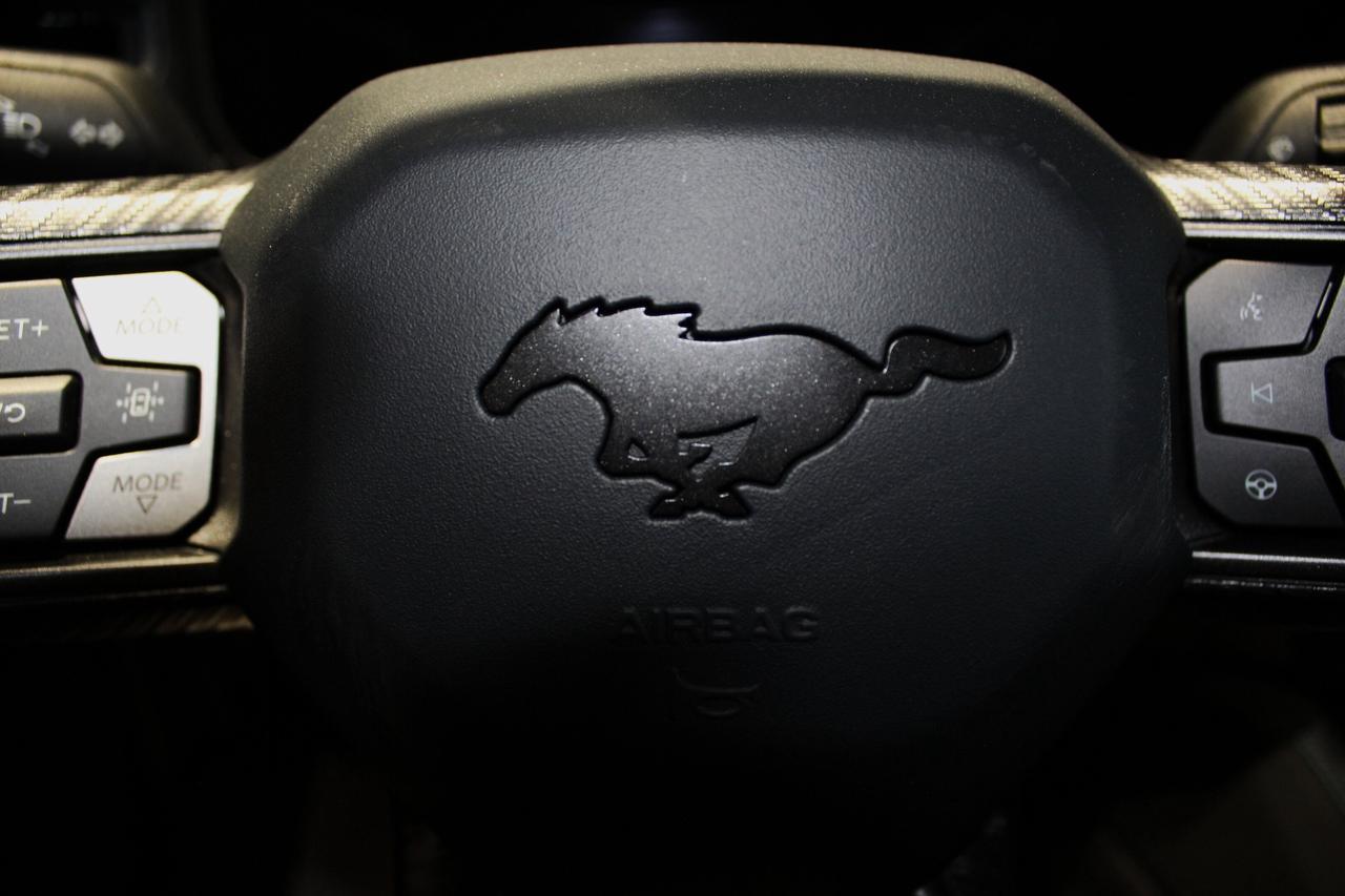 2025 Ford Mustang Dark Horse Photo