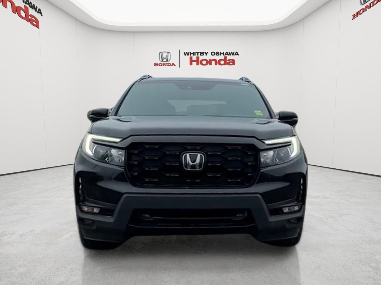 2023 Honda Passport Touring AWD Photo