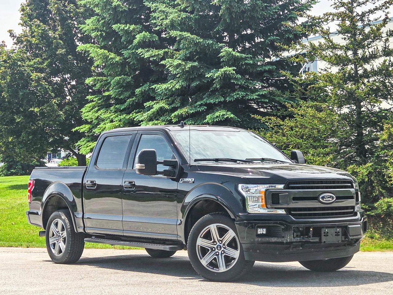 2019 Ford F-150 XLT Photo