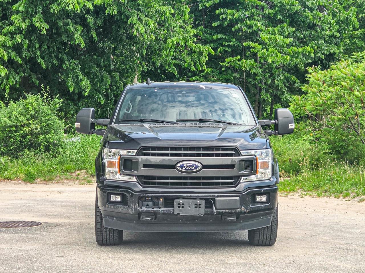 2019 Ford F-150 XLT Photo4