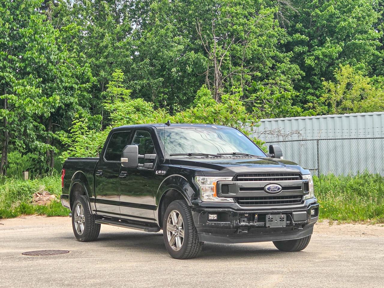 2019 Ford F-150 XLT Photo