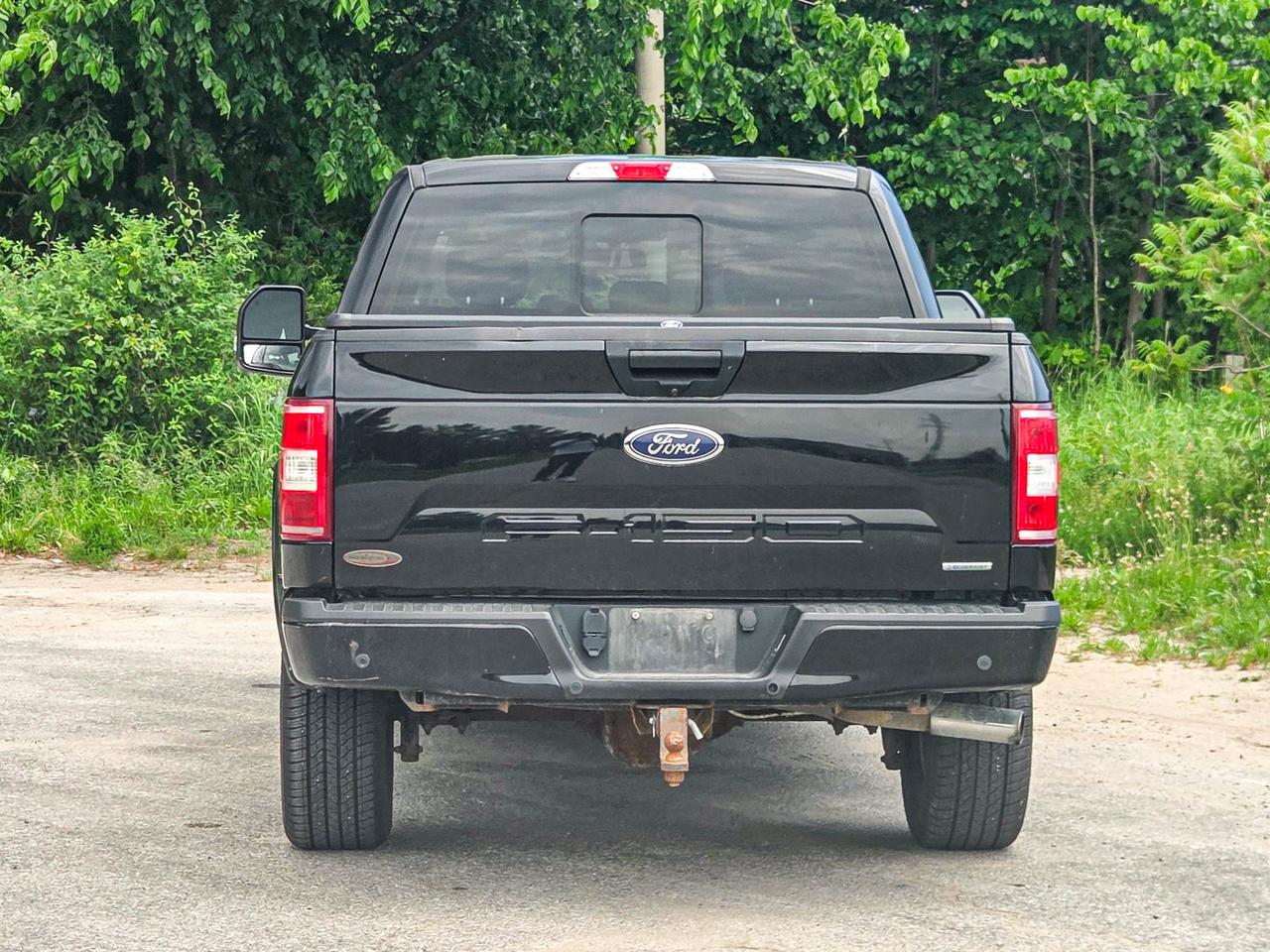 2019 Ford F-150 XLT Photo