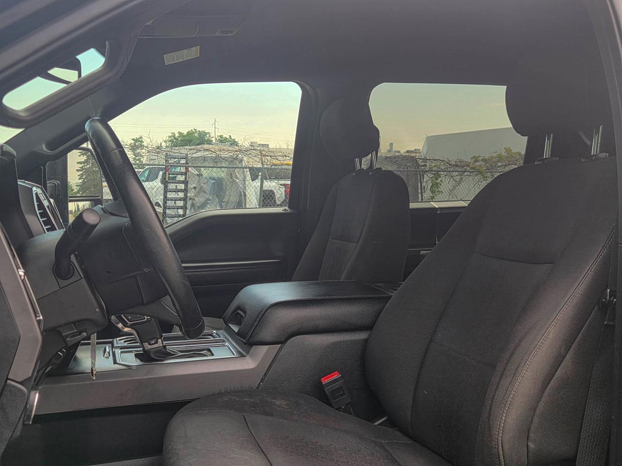 2019 Ford F-150 XLT Photo
