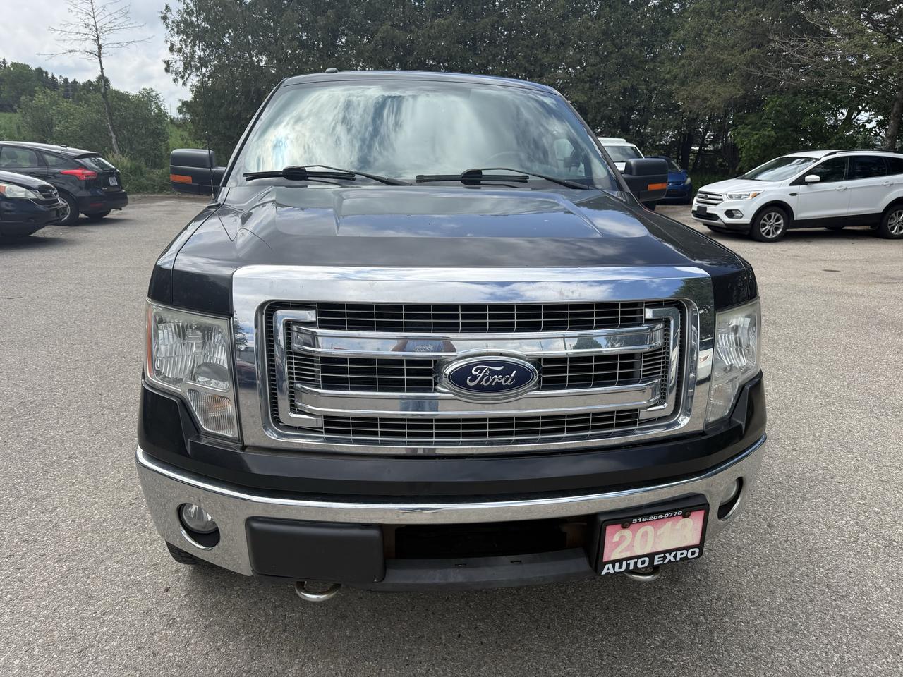 2013 Ford F-150 XLT Photo