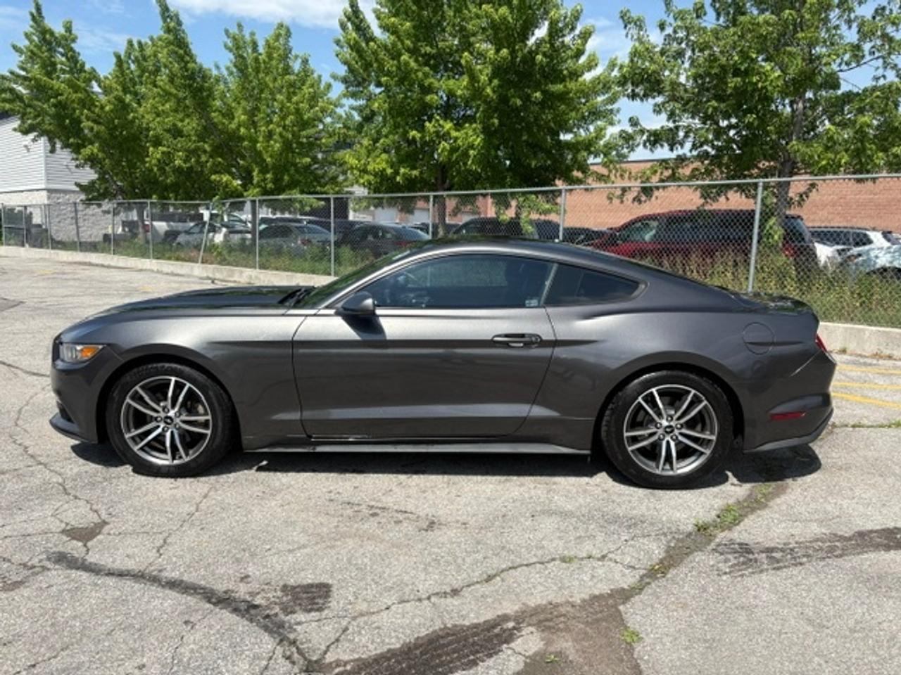 2015 Ford Mustang FASTBACK ECOBOOST PREMIUM-AUTOMATIC-LEATHER Photo