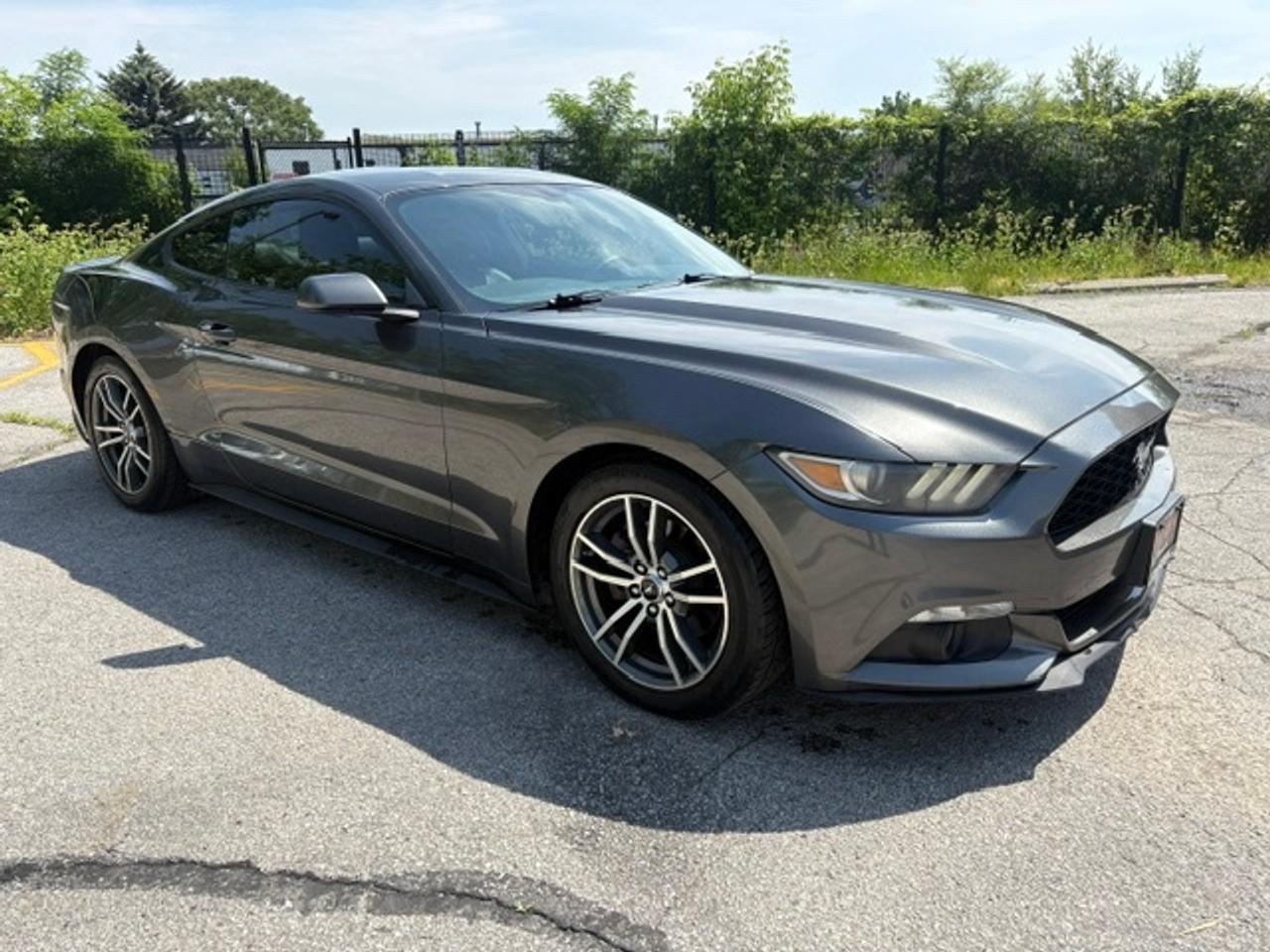 2015 Ford Mustang FASTBACK ECOBOOST PREMIUM-AUTOMATIC-LEATHER Photo