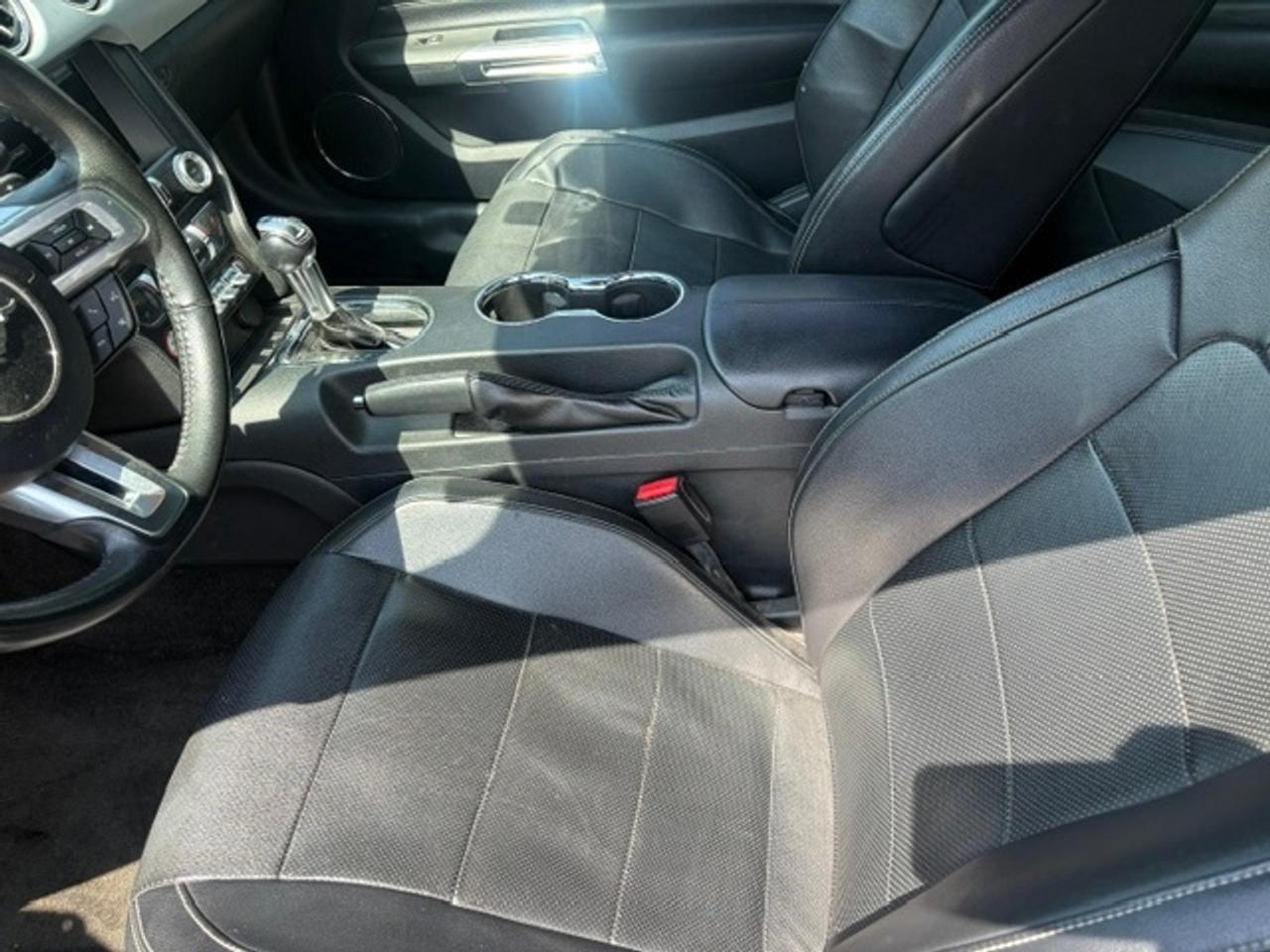2015 Ford Mustang FASTBACK ECOBOOST PREMIUM-AUTOMATIC-LEATHER Photo