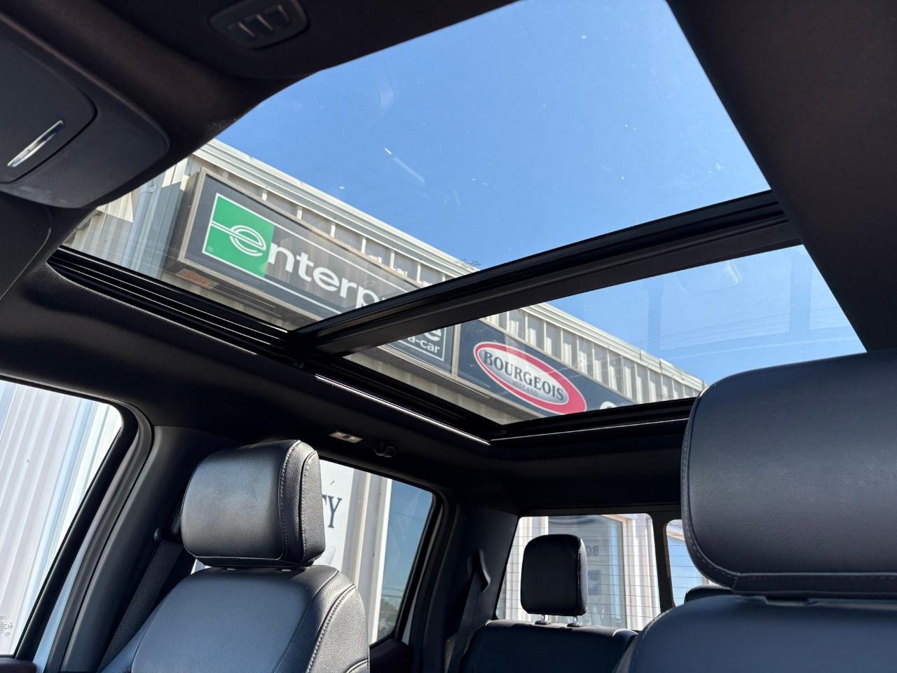 2023 Ford F-150  Photo