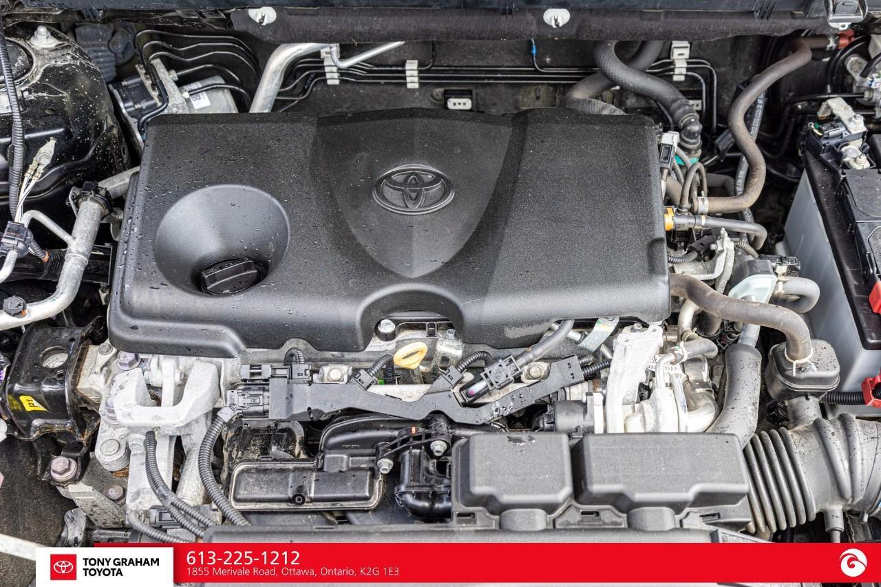 2022 Toyota RAV4 LE Photo