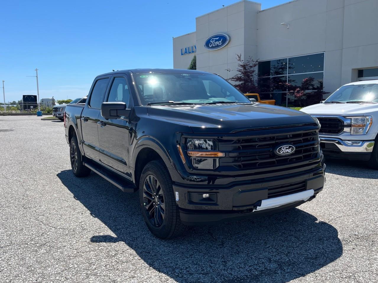 2026 Ford F-150 XLT Photo