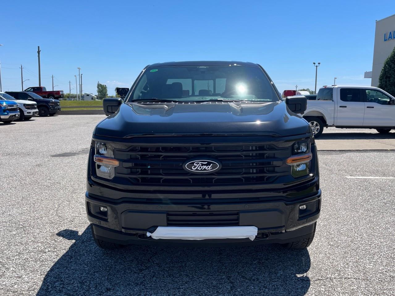 2026 Ford F-150 XLT Photo2