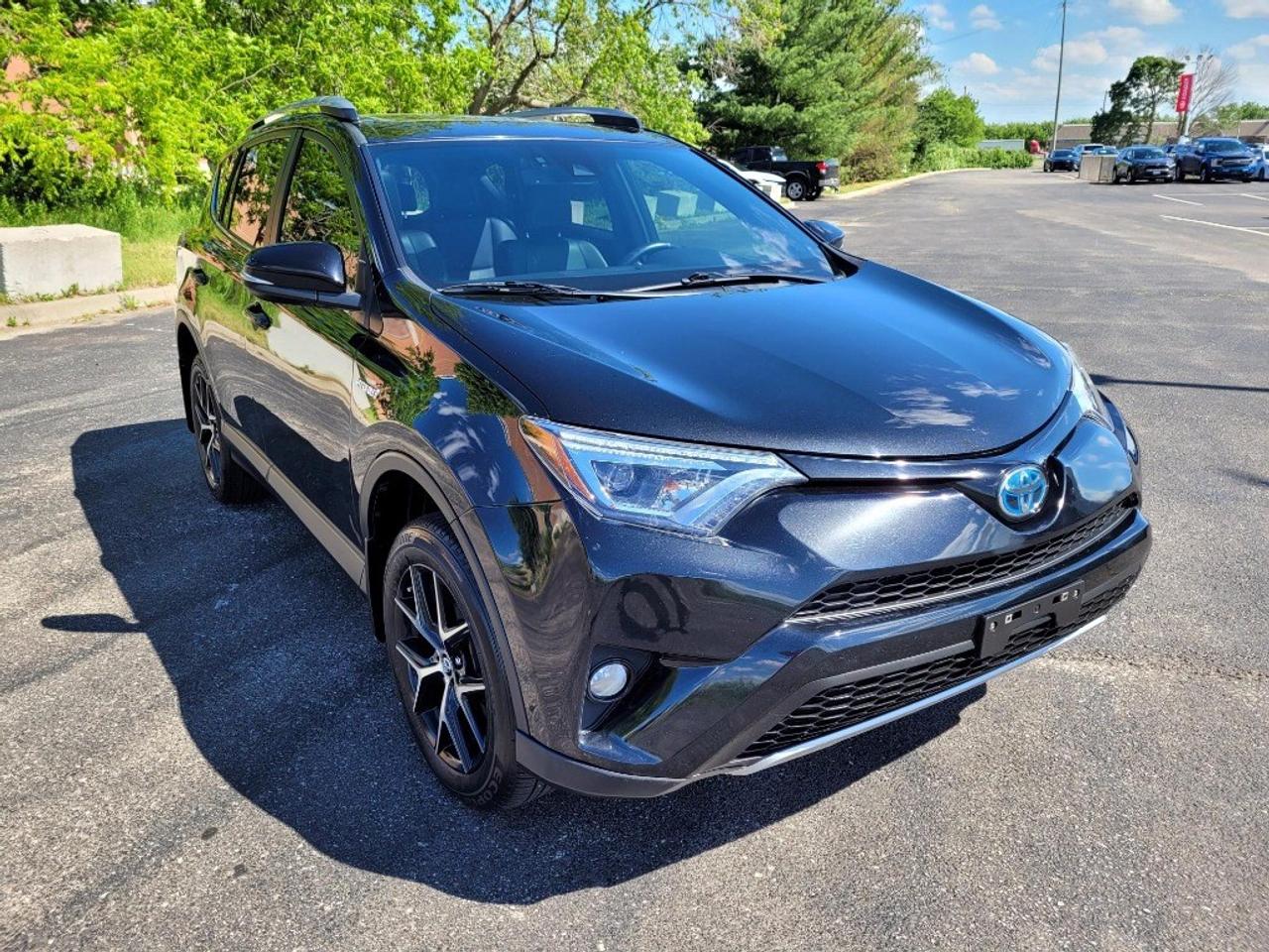 2018 Toyota RAV4 Hybrid AWD Hybrid SE Photo