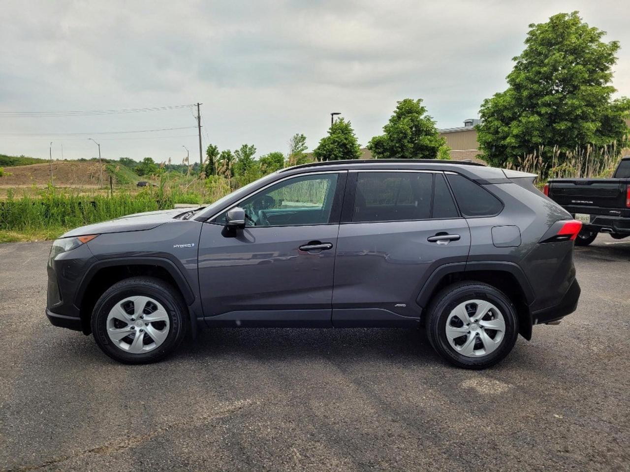 2019 Toyota RAV4 Hybrid AWD Hybrid LE Photo