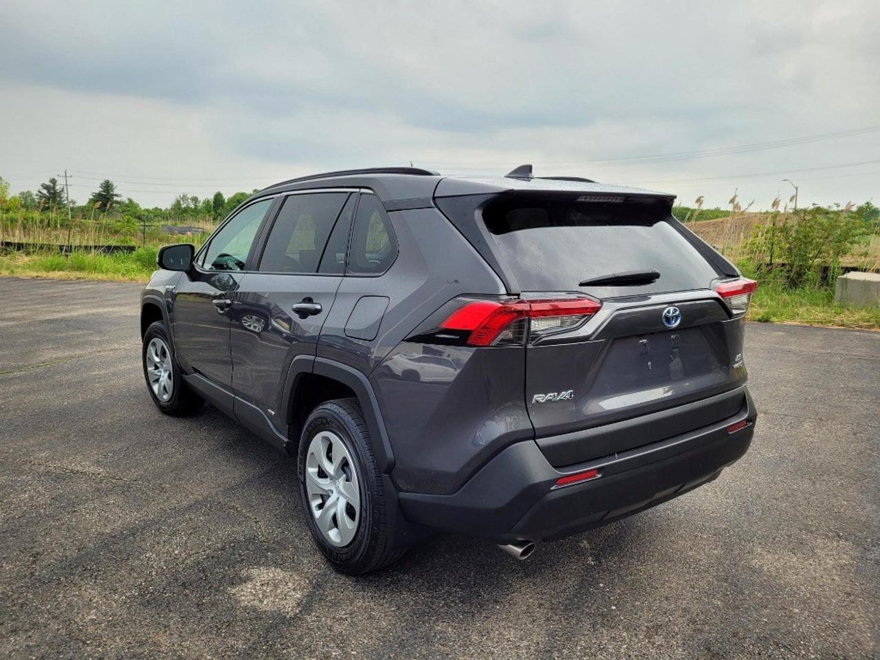 2019 Toyota RAV4 Hybrid AWD Hybrid LE Photo