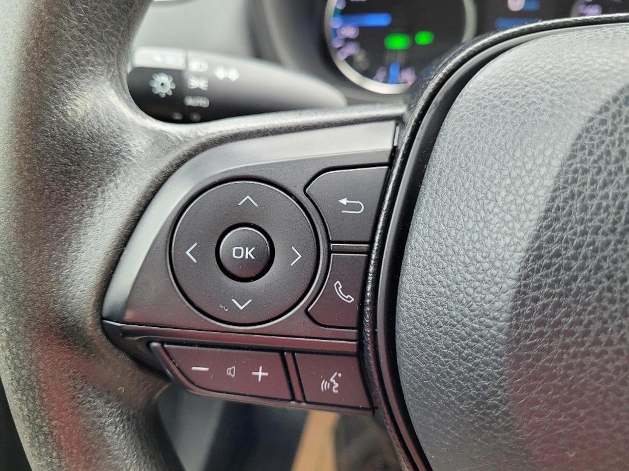 2019 Toyota RAV4 Hybrid AWD Hybrid LE Photo