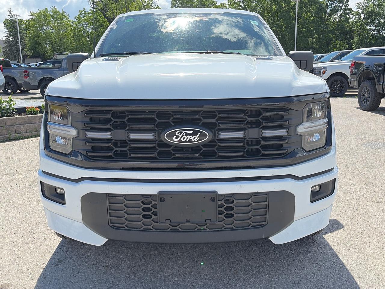 2026 Ford F-150 STX 4WD SuperCrew 5.5' Box Photo