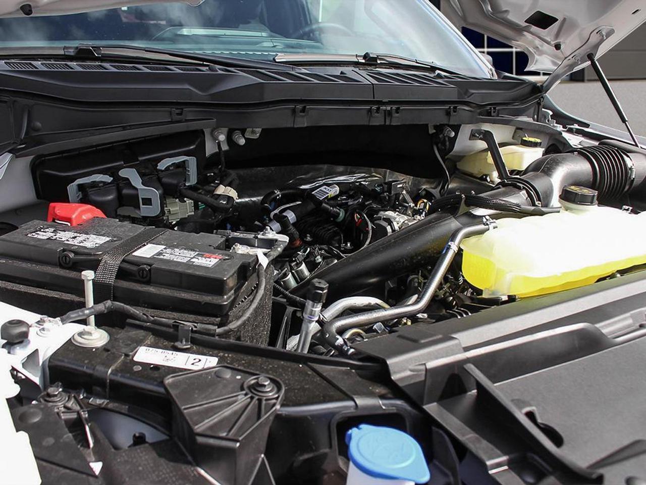 2026 Ford F-150 XLT 4WD SuperCrew 5.5' Box Photo