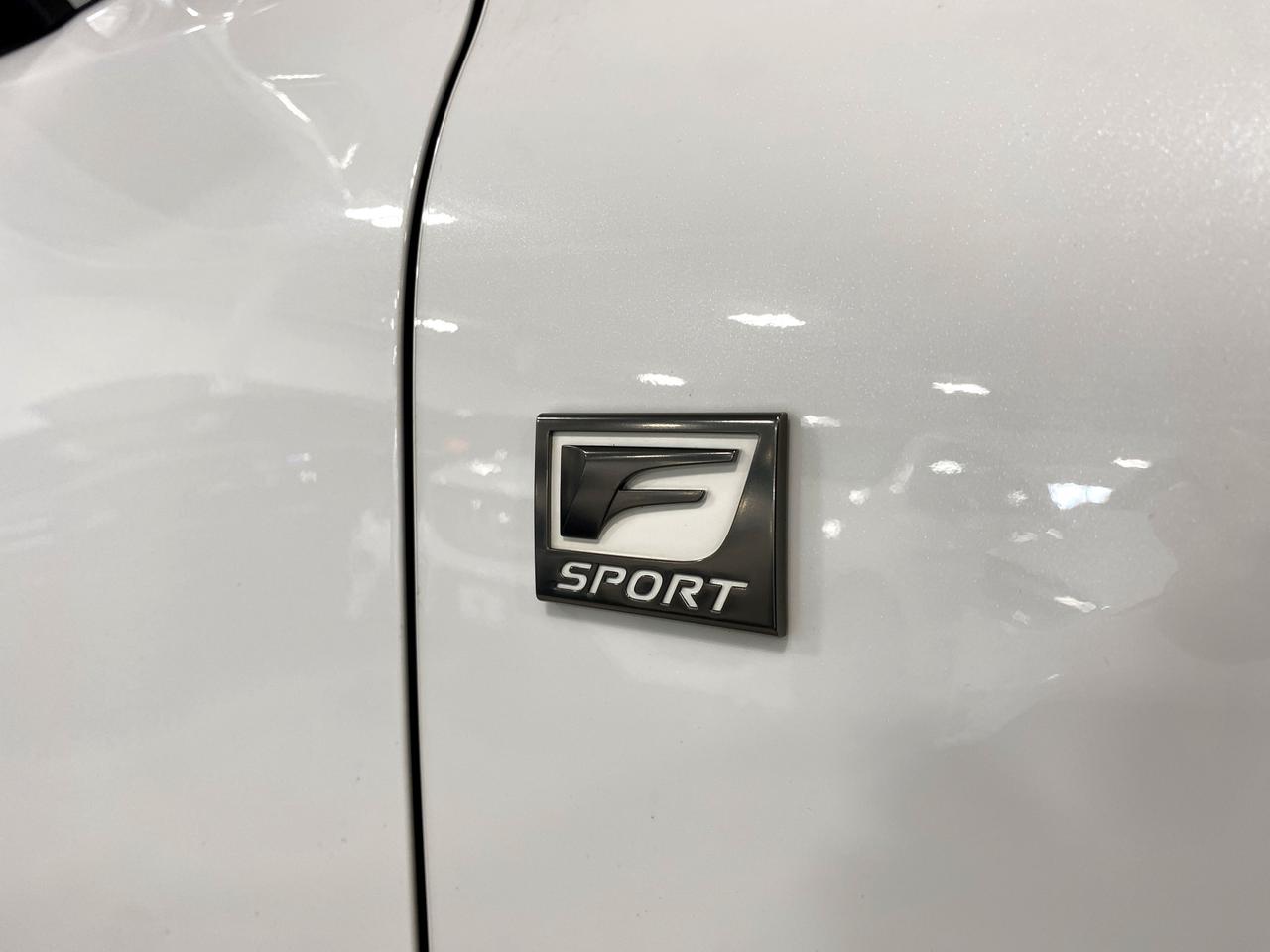 2018 Lexus NX NX300|F-SPORT|TURBO|ROOFRACK|SUNROOF|LEATHER|+++ Photo