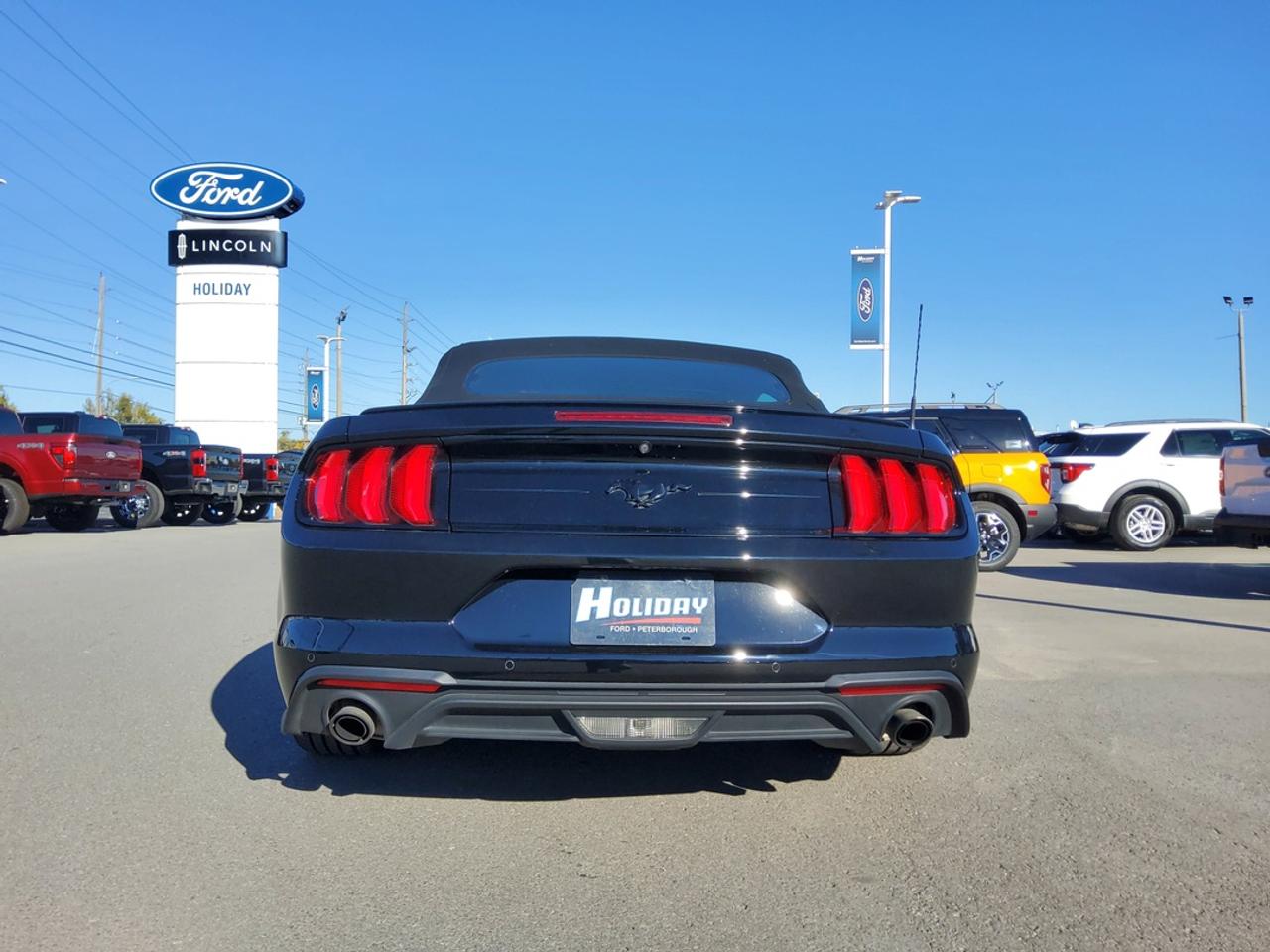 2022 Ford Mustang EcoBoost Premium Photo