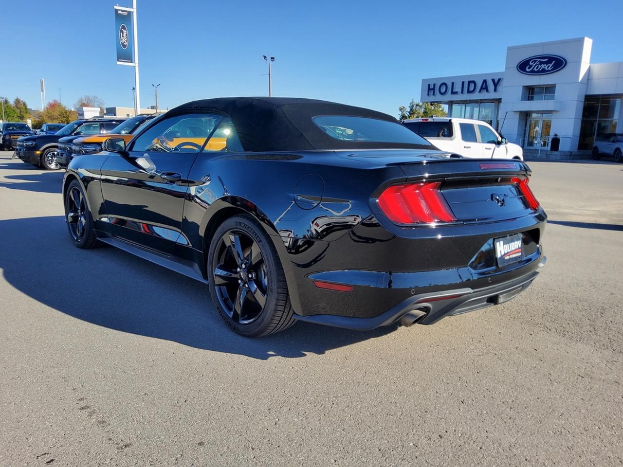 2022 Ford Mustang EcoBoost Premium Photo