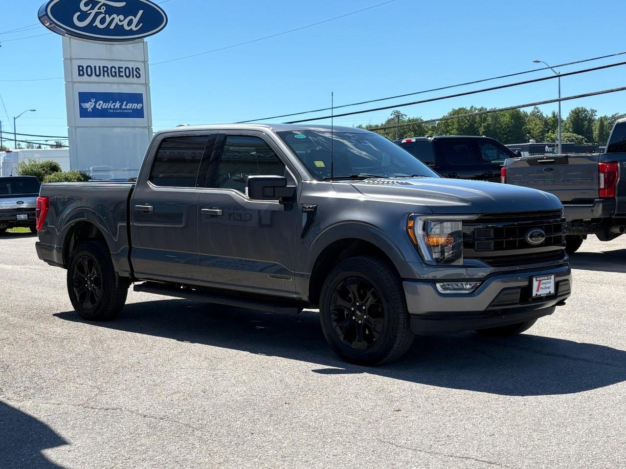 2023 Ford F-150  Photo