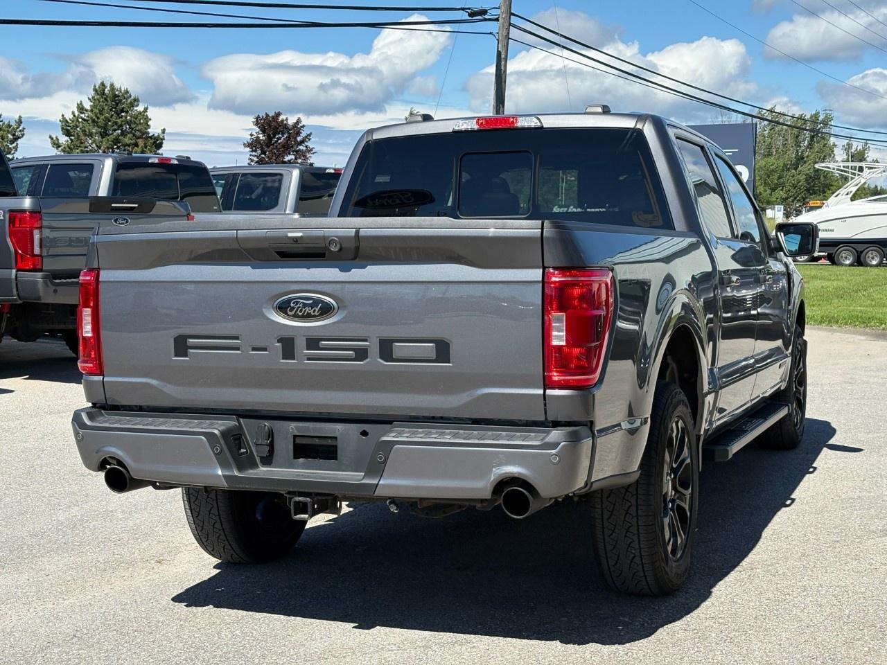 2023 Ford F-150  Photo