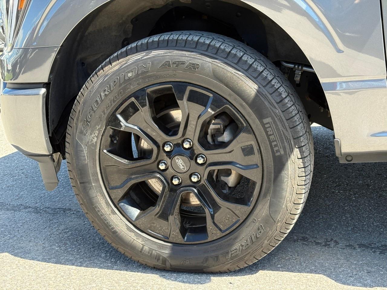 2023 Ford F-150  Photo