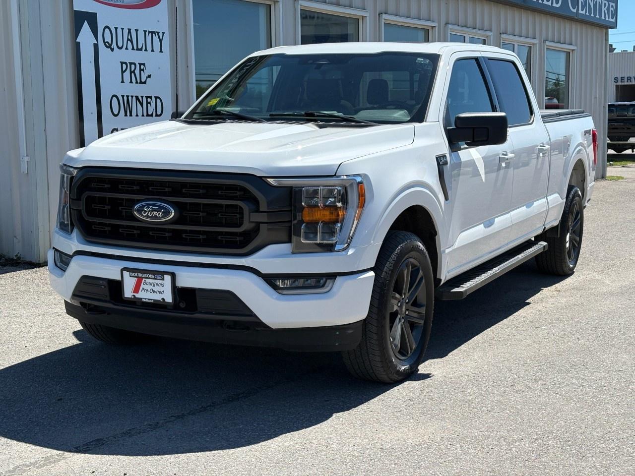 2023 Ford F-150  Photo