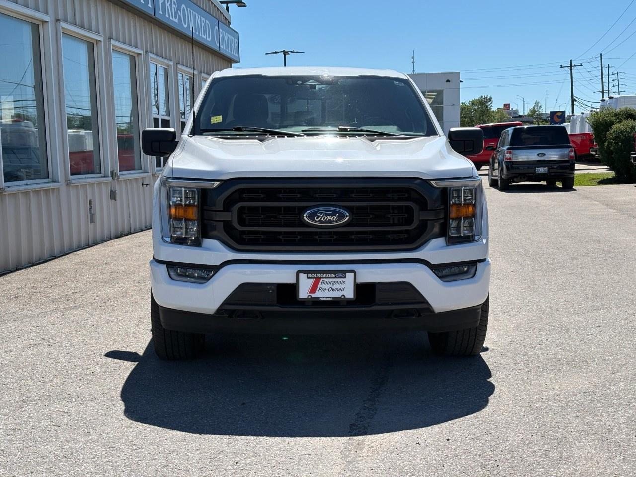 2023 Ford F-150  Photo