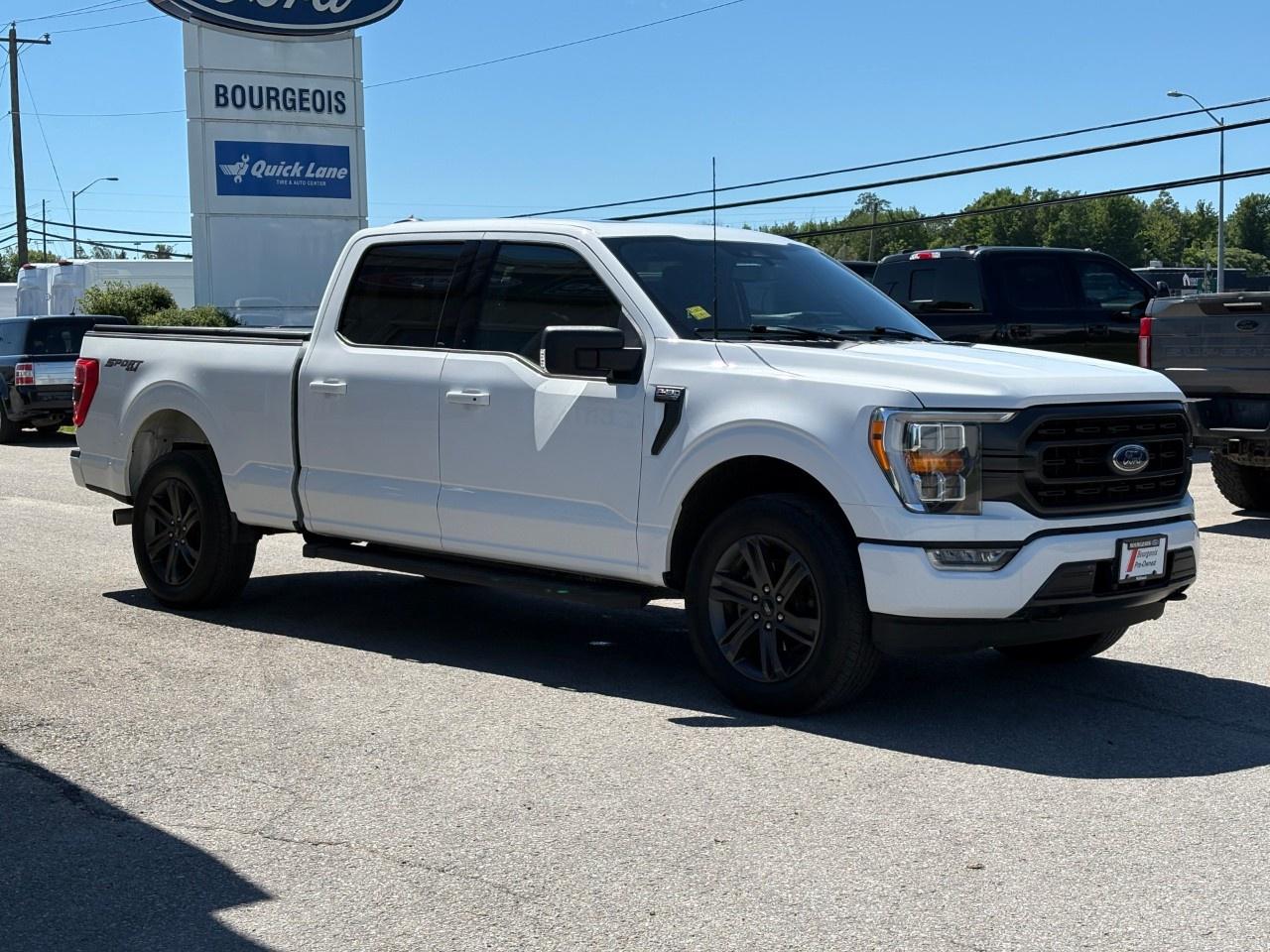 2023 Ford F-150  Photo4
